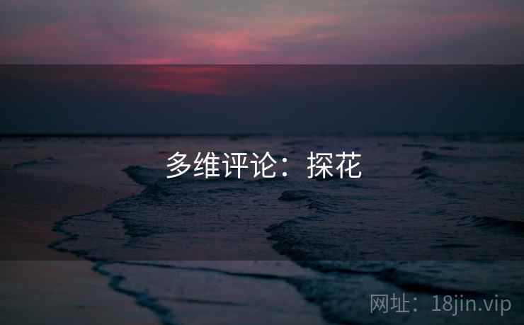多维评论：探花