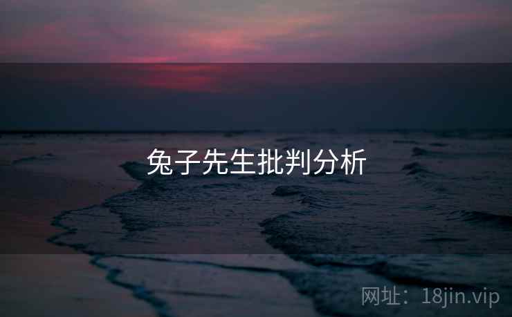 兔子先生批判分析