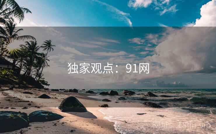 独家观点：91网  第1张