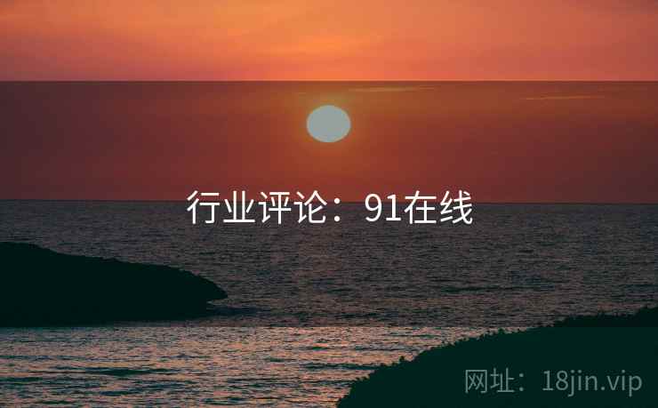 行业评论：91在线  第2张