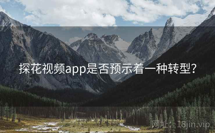 探花视频app是否预示着一种转型？