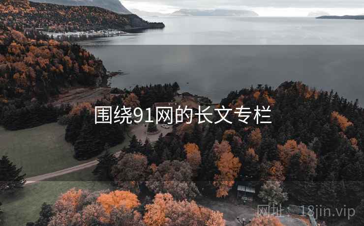 围绕91网的长文专栏