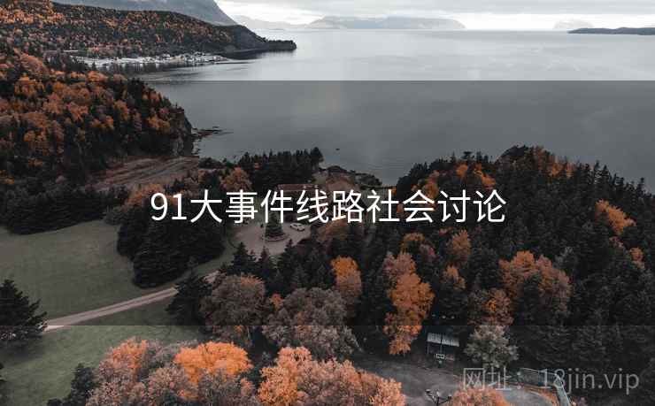 91大事件线路社会讨论