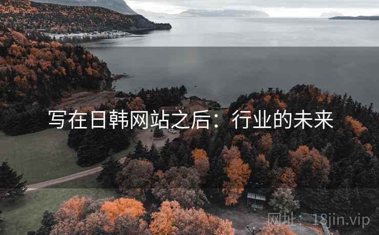 写在日韩网站之后：行业的未来