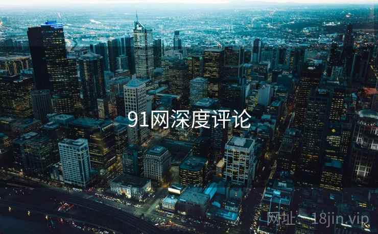 91网深度评论