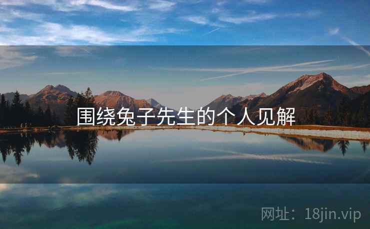 围绕兔子先生的个人见解