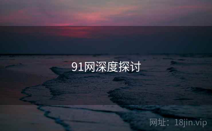 91网深度探讨