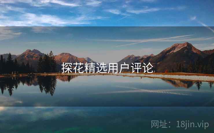 探花精选用户评论