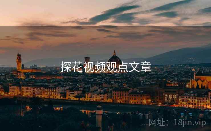 探花视频观点文章
