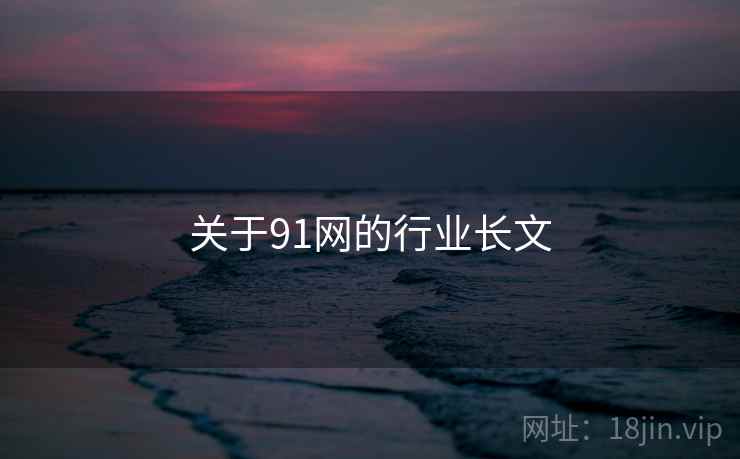 关于91网的行业长文